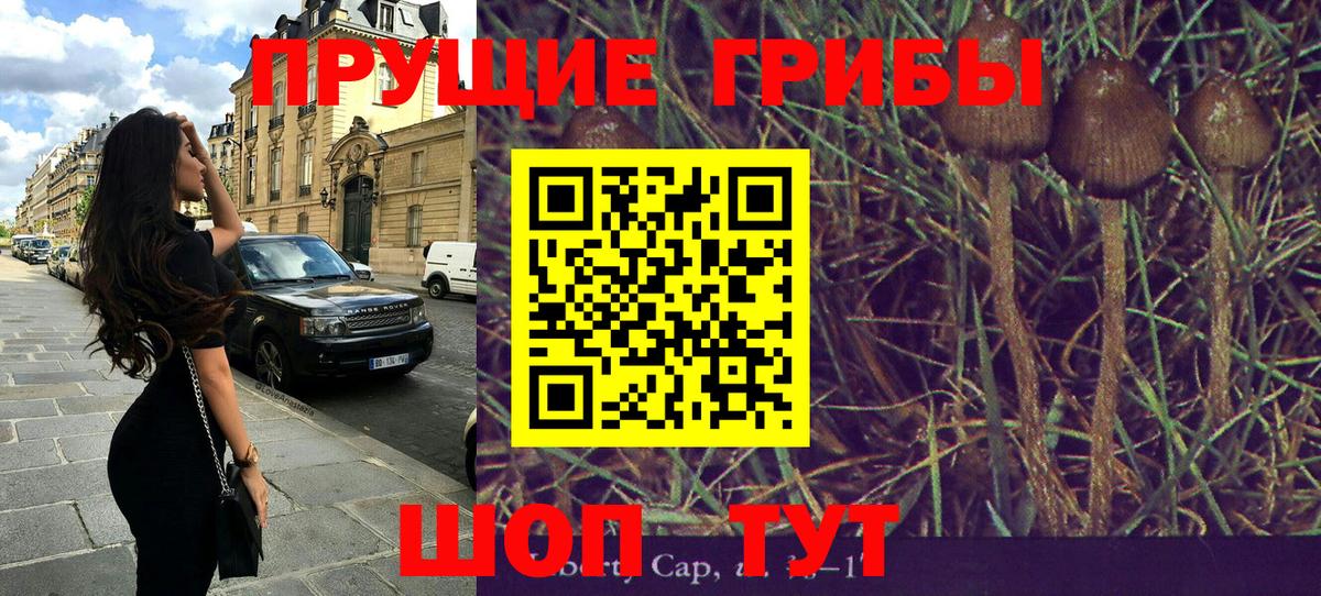 Галлюциногенные грибы мухоморы  Псилоцибиновые грибы мухоморы  Вход с VPN  Егорьевск 